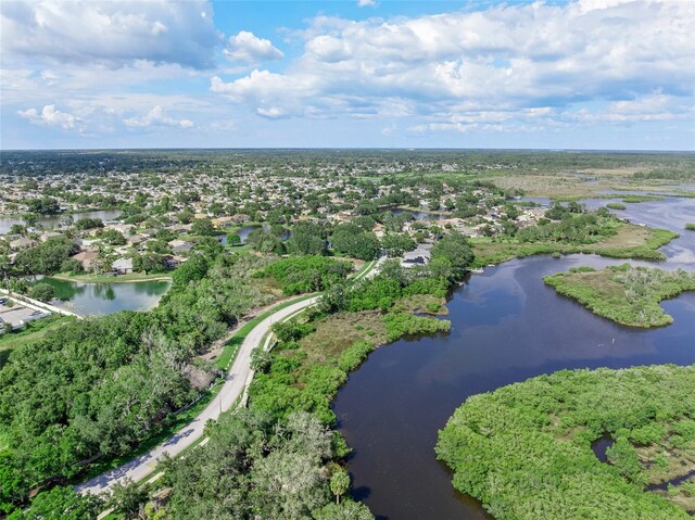 1291 Blackrush Dr, Tarpon Springs, FL 34689 - drone / aerial view of a large body of water