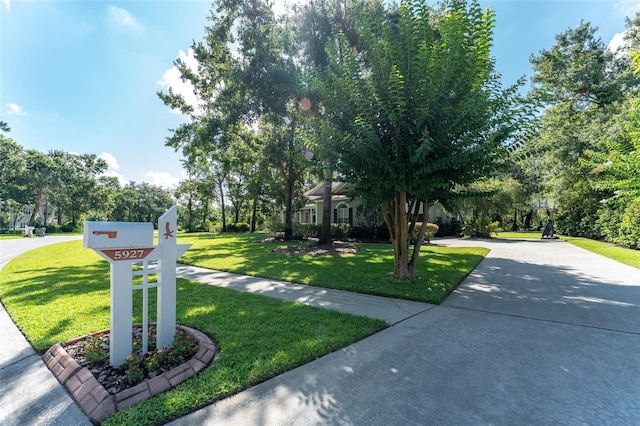 5927 Flatwoods Manor Cir, Lithia, FL 33547 - photo 28