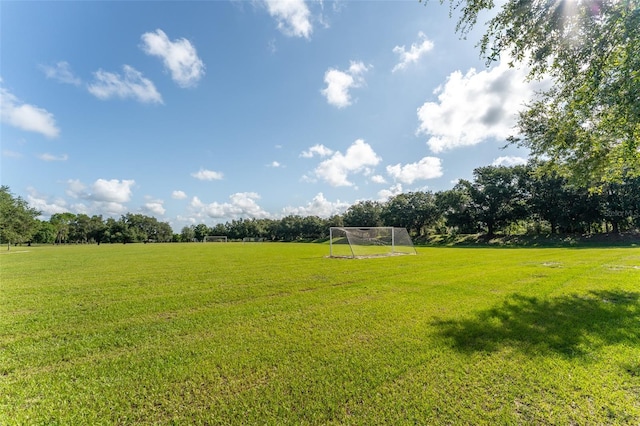5927 Flatwoods Manor Cir, Lithia, FL 33547 - photo 55