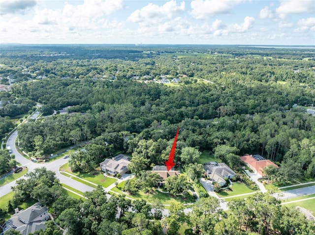 5927 Flatwoods Manor Cir, Lithia, FL 33547 - photo 62