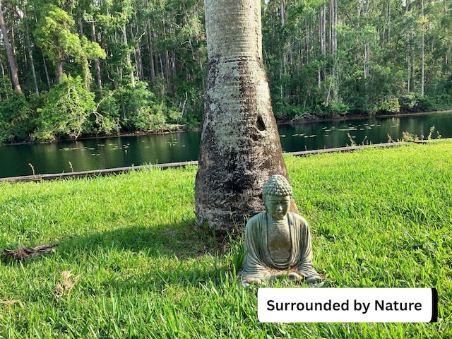 1865 Mazo Mnr Unit 1, Lutz, FL 33558 - view of yard featuring a water view and a wooded view
