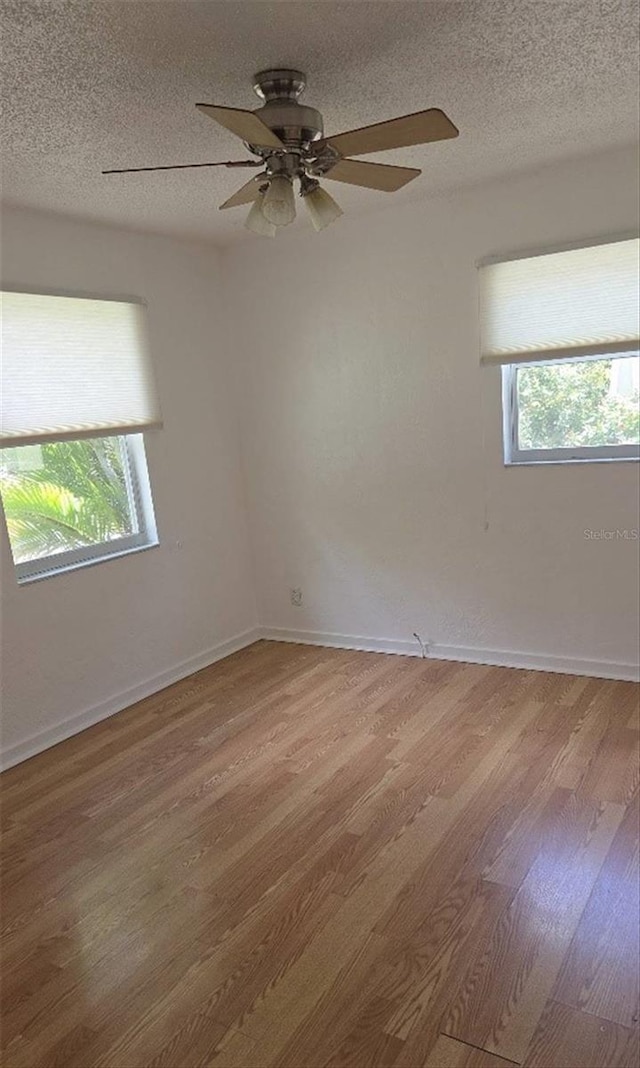 3131 Melton St N, Saint Petersburg, FL 33704 - photo 5