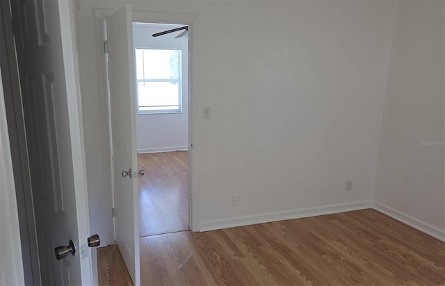 3131 Melton St N, Saint Petersburg, FL 33704 - photo 9