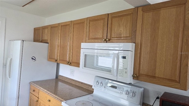 3131 Melton St N, Saint Petersburg, FL 33704 - photo 13
