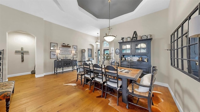 3506 Cordgrass Dr, Valrico, FL 33596 - dining room featuring arched walkways, light wood-style floors, and a tray ceiling