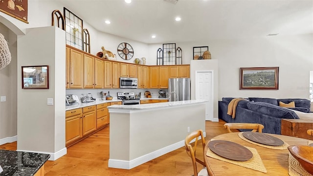 3506 Cordgrass Dr, Valrico, FL 33596 - kitchen with appliances with stainless steel finishes, light wood-style flooring, open floor plan, recessed lighting, and light countertops