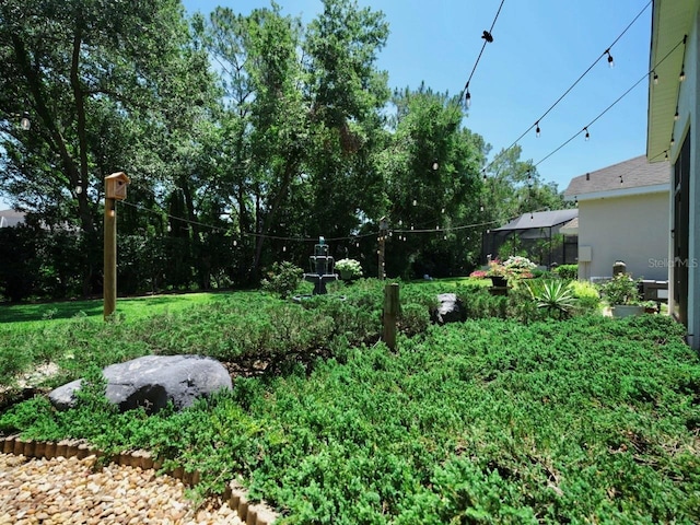 3506 Cordgrass Dr, Valrico, FL 33596 - view of yard