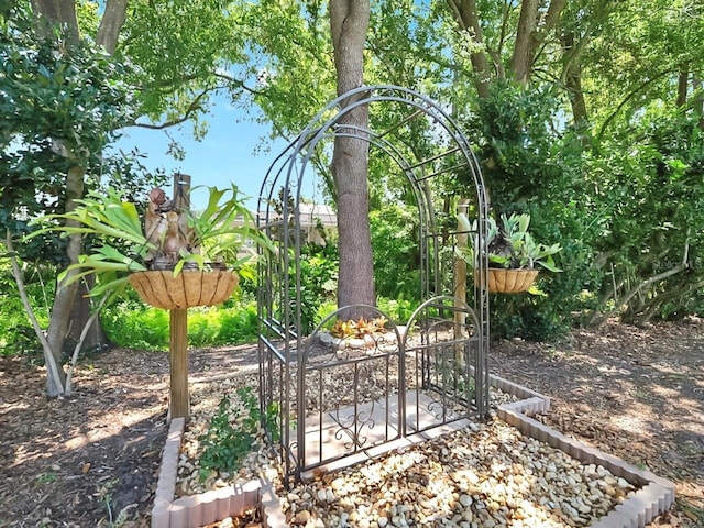 3506 Cordgrass Dr, Valrico, FL 33596 - view of yard