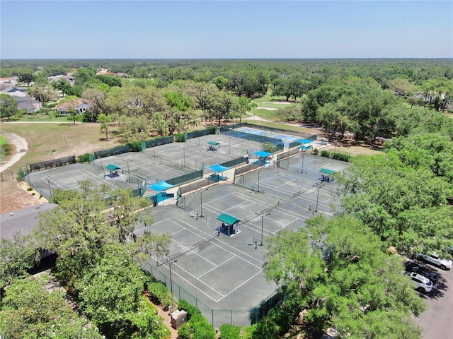 3506 Cordgrass Dr, Valrico, FL 33596 - drone / aerial view of a forest