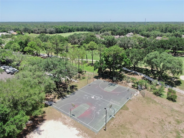 3506 Cordgrass Dr, Valrico, FL 33596 - drone / aerial view of a heavily wooded area