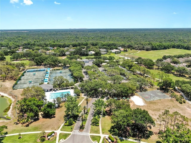 3506 Cordgrass Dr, Valrico, FL 33596 - drone / aerial view of a forest