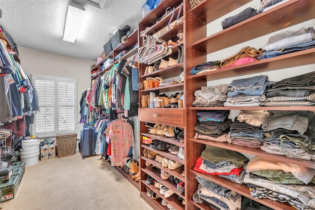 6207 Bleeker St, Riverview, FL 33578 - walk in closet featuring carpet