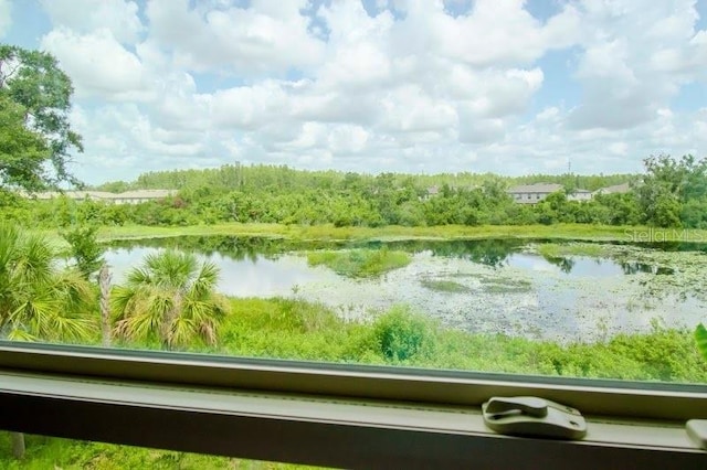 1674 Roseville St, Lutz, FL 33549 - photo 3