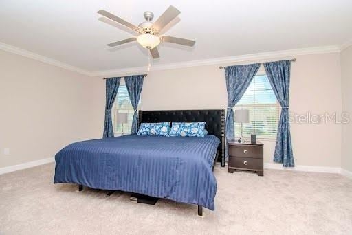 1674 Roseville St, Lutz, FL 33549 - photo 14