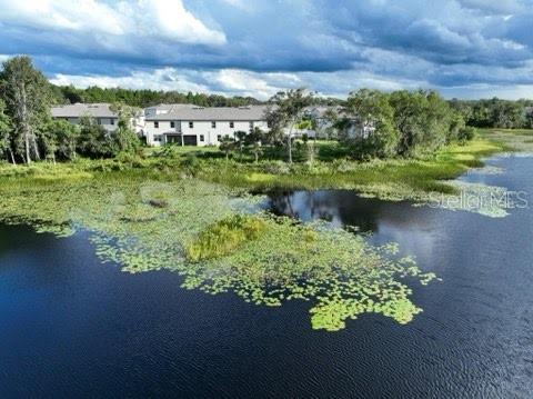 1674 Roseville St, Lutz, FL 33549 - photo 24