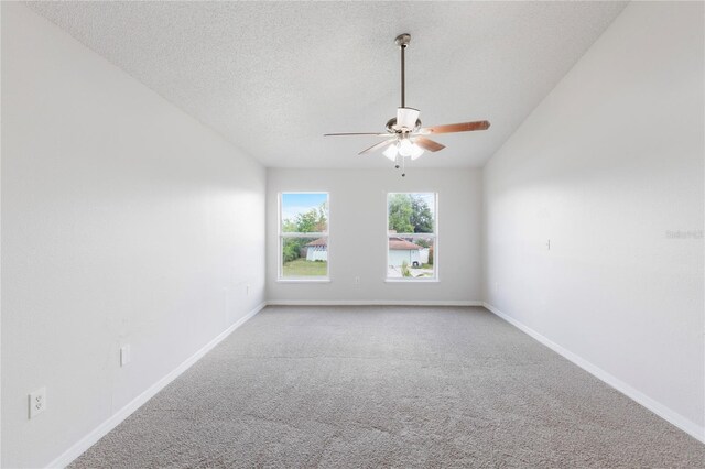 14006 Amero Ln, Spring Hill, FL 34609 - photo 12