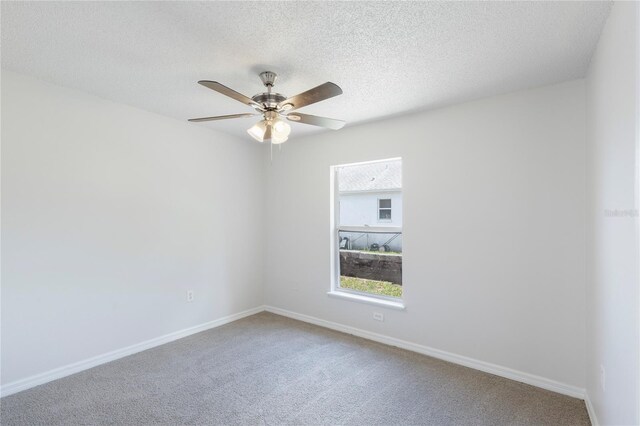 14006 Amero Ln, Spring Hill, FL 34609 - photo 17