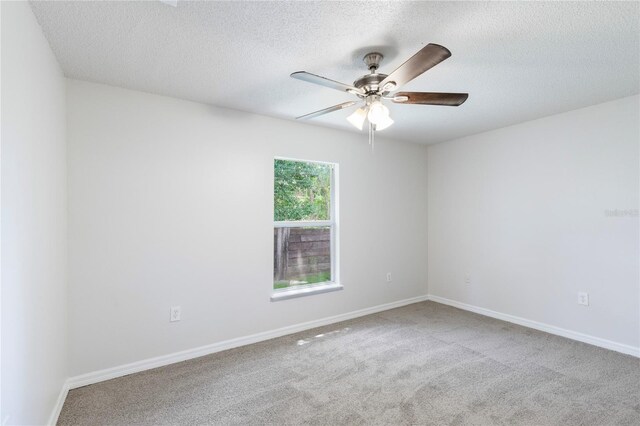 14006 Amero Ln, Spring Hill, FL 34609 - photo 19