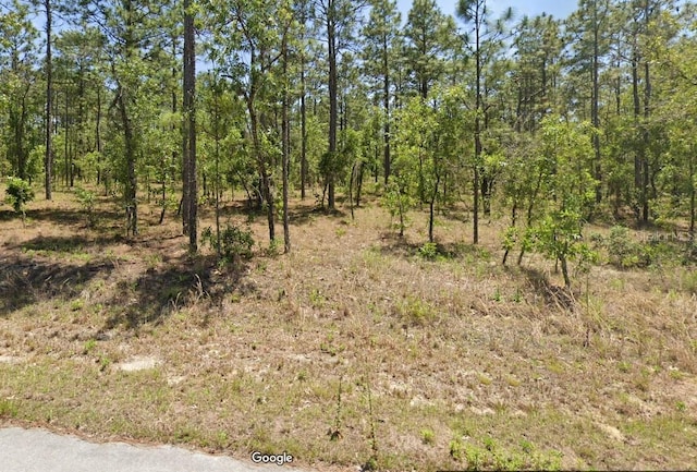 454605 NW Geranium Ave, Dunnellon, FL 34431