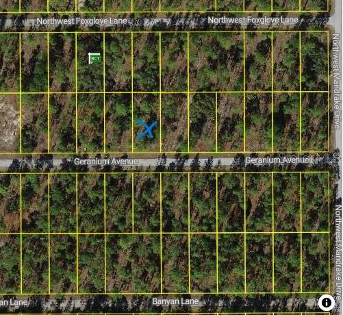 454605 NW Geranium Ave, Dunnellon, FL 34431