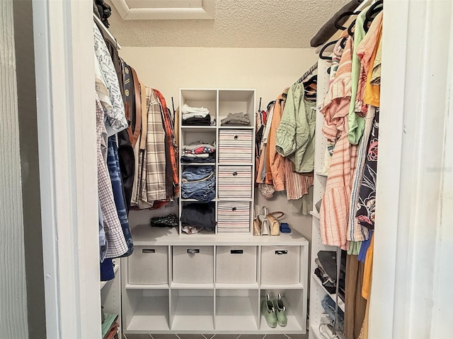 1972 Briarwood St, Dunedin, FL 34698 - spacious closet with attic access