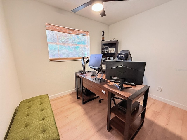 1972 Briarwood St, Dunedin, FL 34698 - office featuring light wood-style flooring and ceiling fan