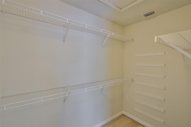 10132 Post Harvest Dr, Riverview, FL 33578 - photo 16