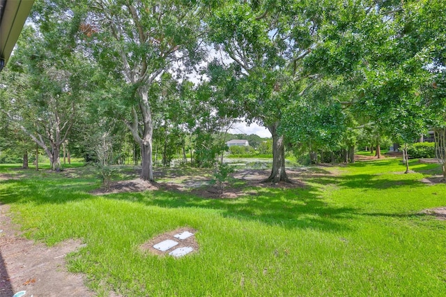 10132 Post Harvest Dr, Riverview, FL 33578 - photo 35