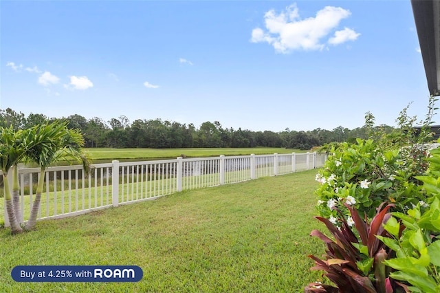 13352 Palmera Vista Dr, Riverview, FL 33579 - photo 48