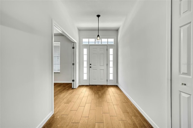 22431 Panther Run Ct, Land O Lakes, FL 34639 - photo 10