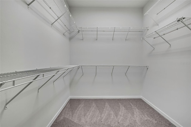 22431 Panther Run Ct, Land O Lakes, FL 34639 - photo 28