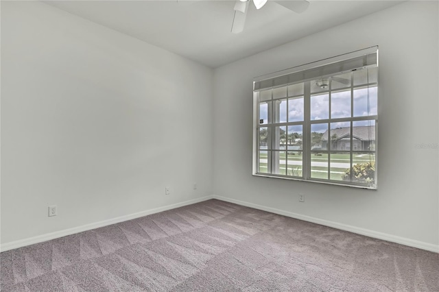 22431 Panther Run Ct, Land O Lakes, FL 34639 - photo 32
