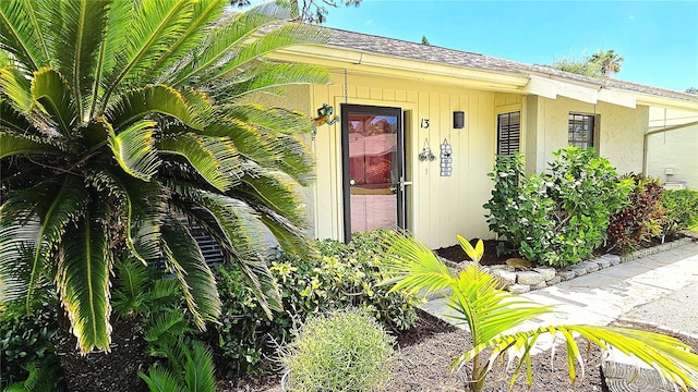 13 Windrush Bay Dr, Tarpon Springs, FL 34689 - view of exterior entry with roof with shingles and stucco siding