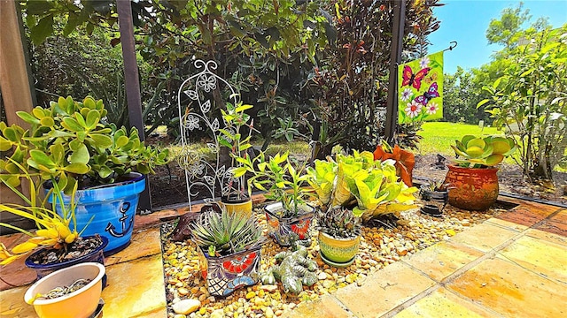 13 Windrush Bay Dr, Tarpon Springs, FL 34689 - view of yard