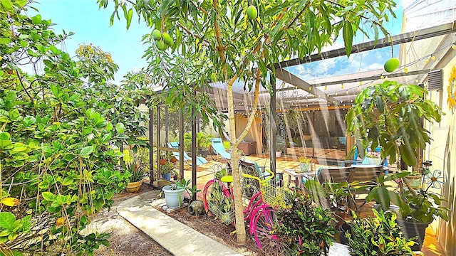13 Windrush Bay Dr, Tarpon Springs, FL 34689 - view of yard
