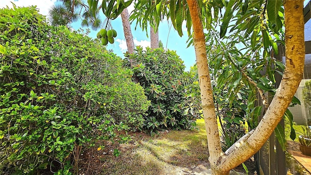 13 Windrush Bay Dr, Tarpon Springs, FL 34689 - view of nature