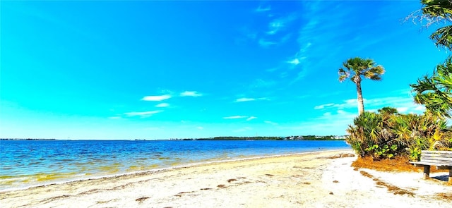 13 Windrush Bay Dr, Tarpon Springs, FL 34689 - water view featuring nearby beach