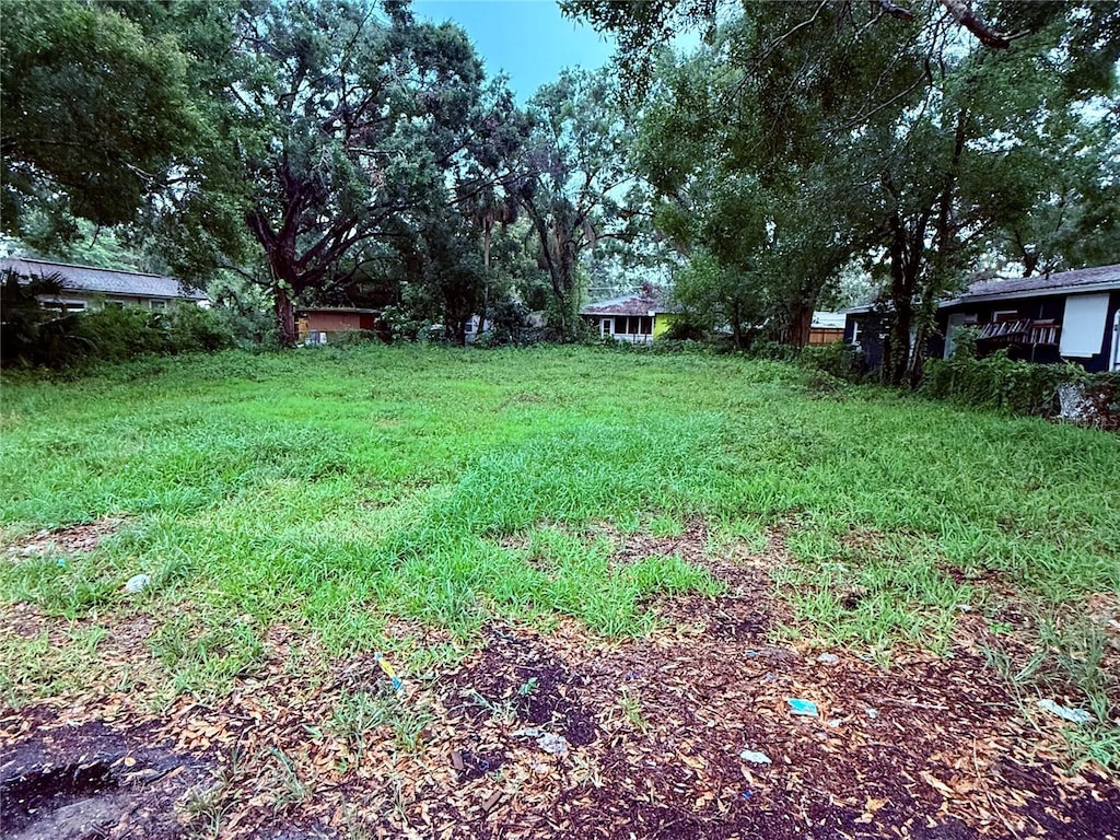 1705 E Nome St, Tampa, FL 33604 - photo 1