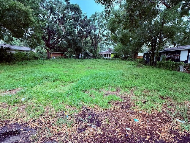 1705 E Nome St, Tampa, FL 33604 - photo 1