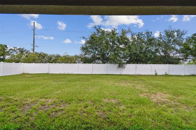 8020 Carriage Pointe Dr, Gibsonton, FL 33534 - view of yard