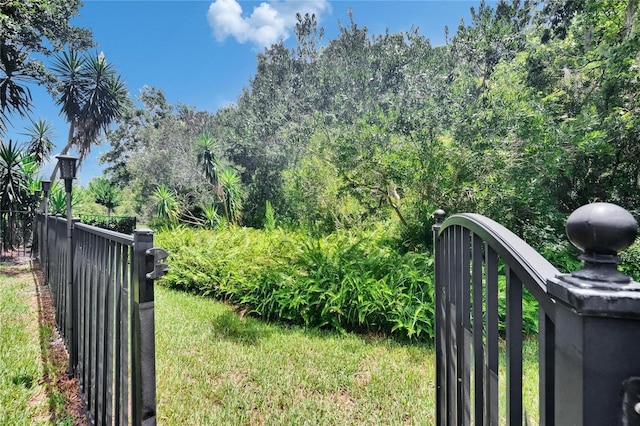 8704 Winsome Way, Land O Lakes, FL 34637 - view of yard