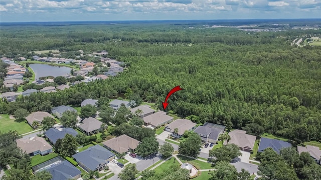 8704 Winsome Way, Land O Lakes, FL 34637 - view of property location with a forest and nearby suburban area