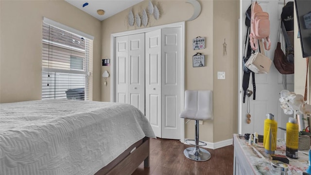 7120 Forest Mere Dr, Riverview, FL 33578 - bedroom with dark wood finished floors and a closet
