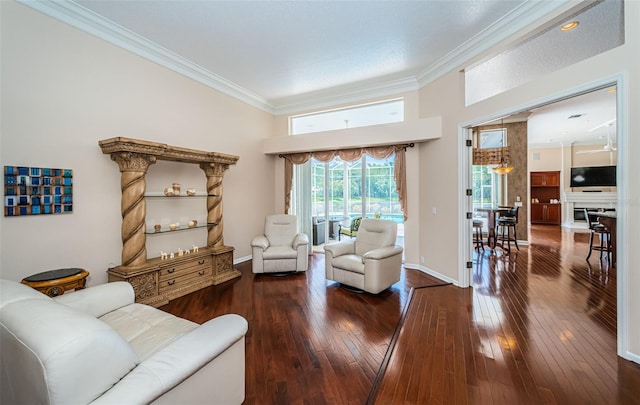 1303 Forestedge Blvd, Oldsmar, FL 34677 - photo 9