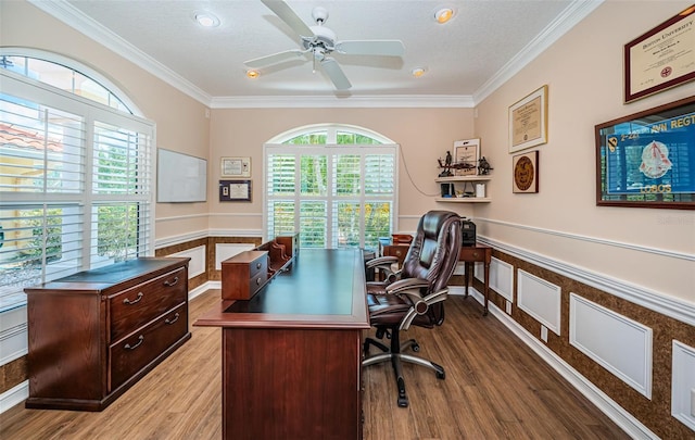 1303 Forestedge Blvd, Oldsmar, FL 34677 - photo 23