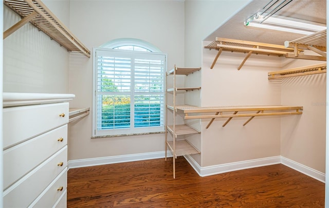 1303 Forestedge Blvd, Oldsmar, FL 34677 - photo 22