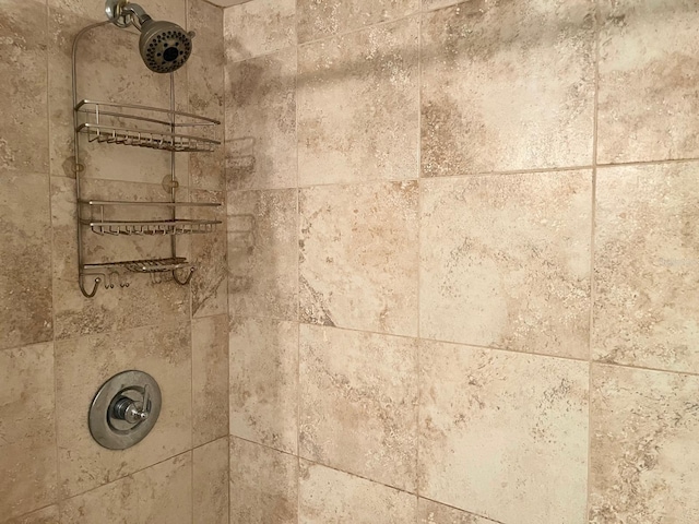 880 Mandalay Ave Unit N311, Clearwater Beach, FL 33767 - bathroom view of tiled shower