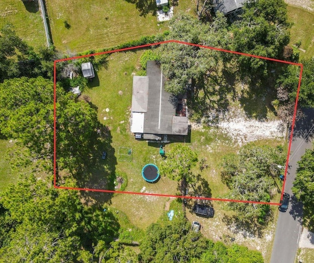 34781 Gardenia Way, Dade City, FL 33523 - photo 4