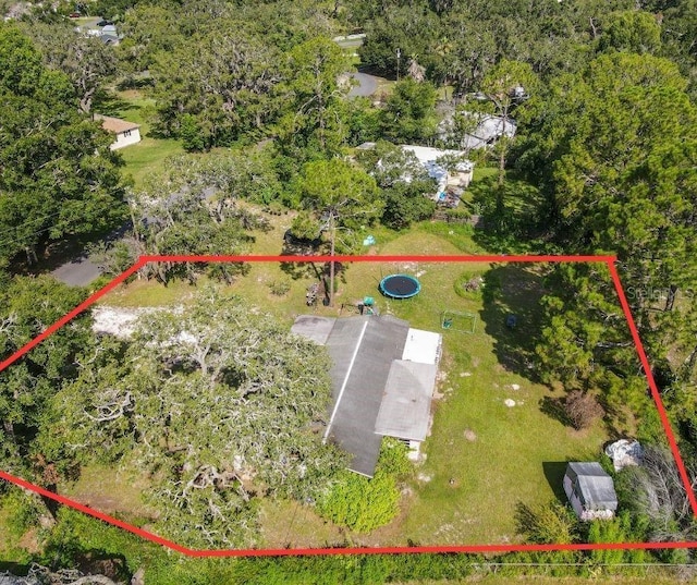 34781 Gardenia Way, Dade City, FL 33523 - photo 6
