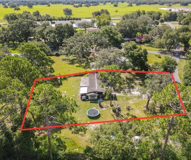 34781 Gardenia Way, Dade City, FL 33523 - photo 7